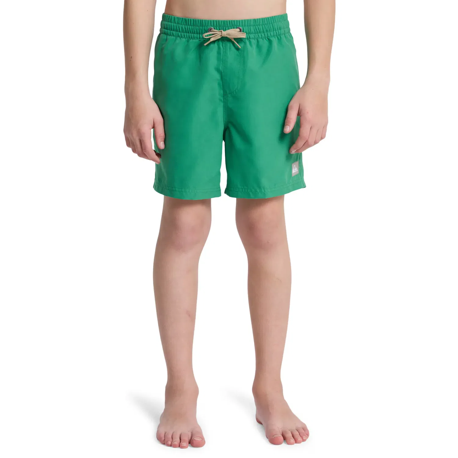 Детские плавки для мальчиков с принтом Everyday Volley 14" Quiksilver, Verde