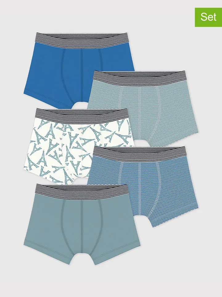 Боксеры набор 5 штук PETIT BATEAU, разноцветный