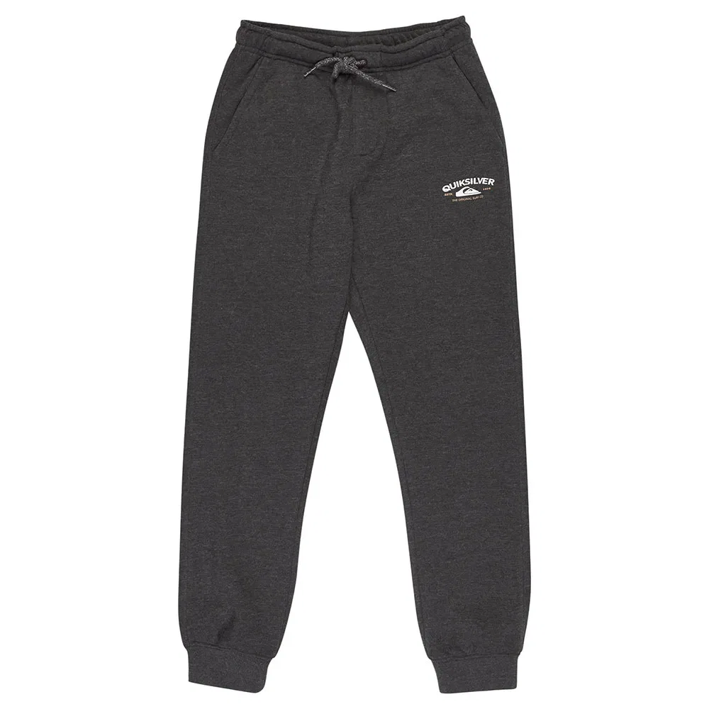 Брюки джоггеры EQBFB03179 Quiksilver, серый