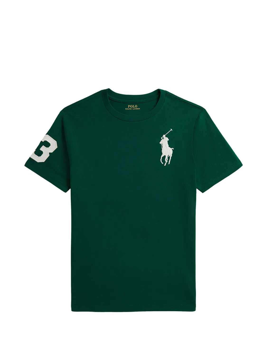 Футболка с вышивкой Polo Ralph Lauren Kids, зеленый