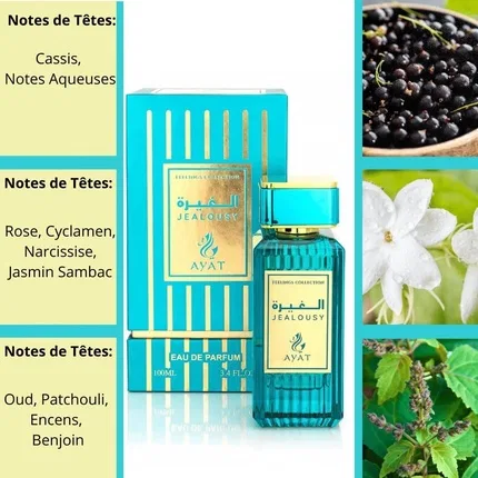 Парфюмерная вода Feelings Ayat Perfumes, 100 мл