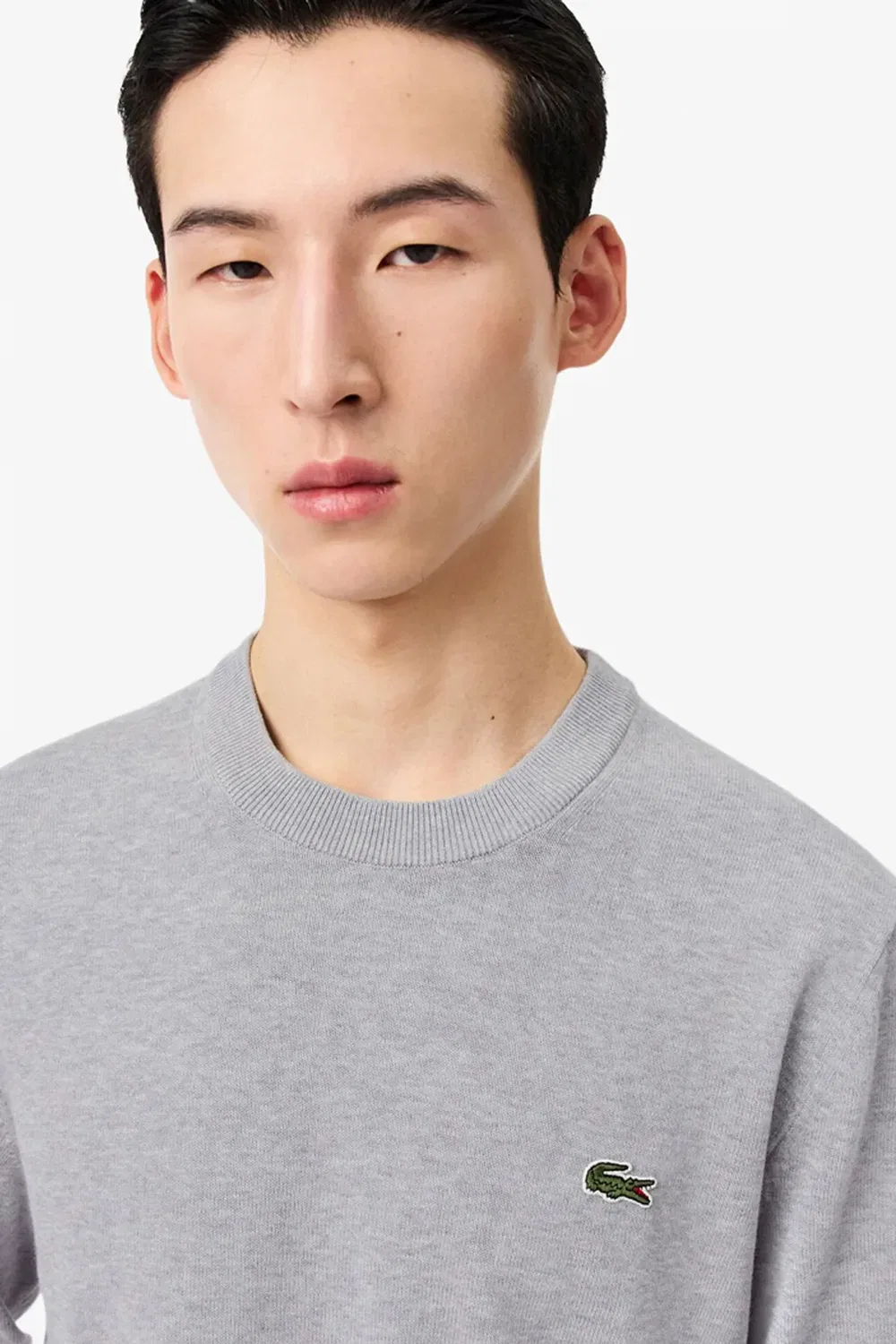 Мужской джемпер с круглым вырезом из вязаного полотна Lacoste, Grey — фото 4