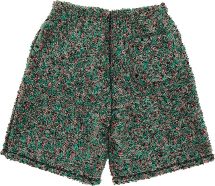 Шорты Supreme x The North Face High Pile Fleece Short 'Multicolor', разноцветный — фото 3