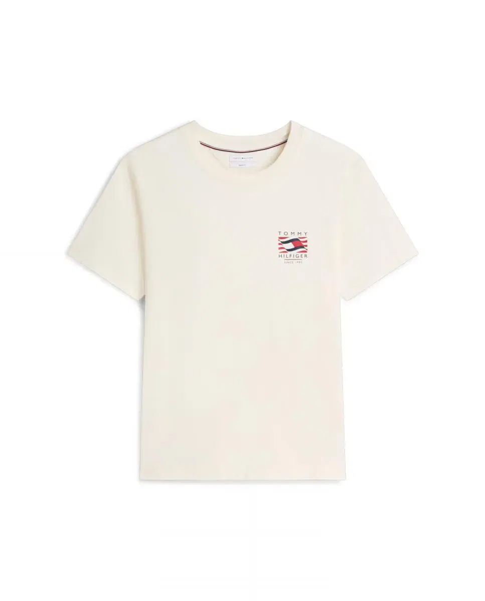 Мужская футболка с принтом Tommy Hilfiger, Blanco Roto — фото 4