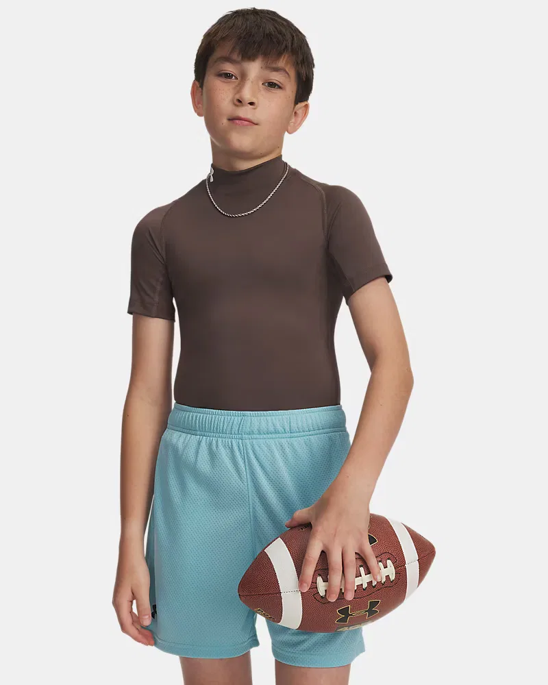 Футболка с коротким рукавом и высоким воротом HeatGear Mock UnderArmour, Peppercorn/White