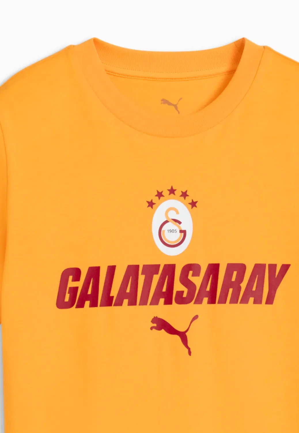 Футболка Galatasaray sk ftblculture - футболка с принтом Puma, Summer Sunset-Dark Cherry — фото 3