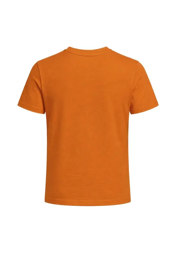 Комплект спортивных брюк, принт Animals, Refrigiwear, Orange, оранжевый — фото 3