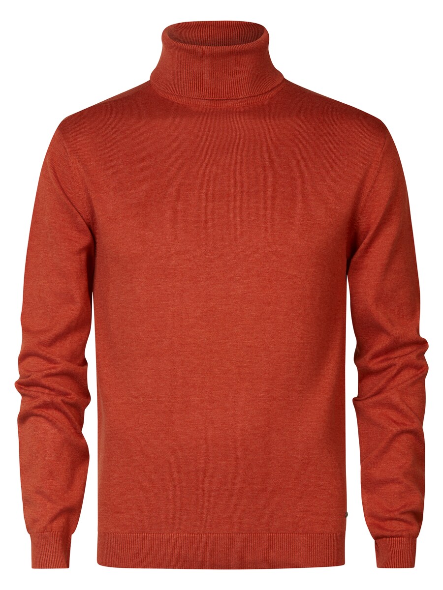 

Водолазка Petrol Industries Sweater Eagle, цвет rusty red
