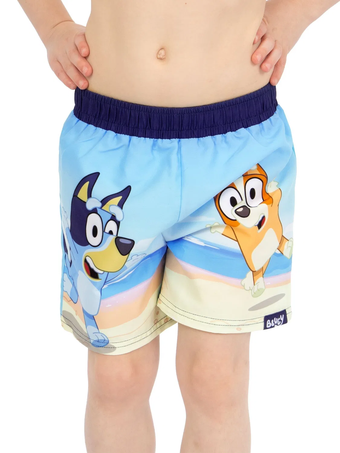 Плавки детские Bluey Bingo Character, синие