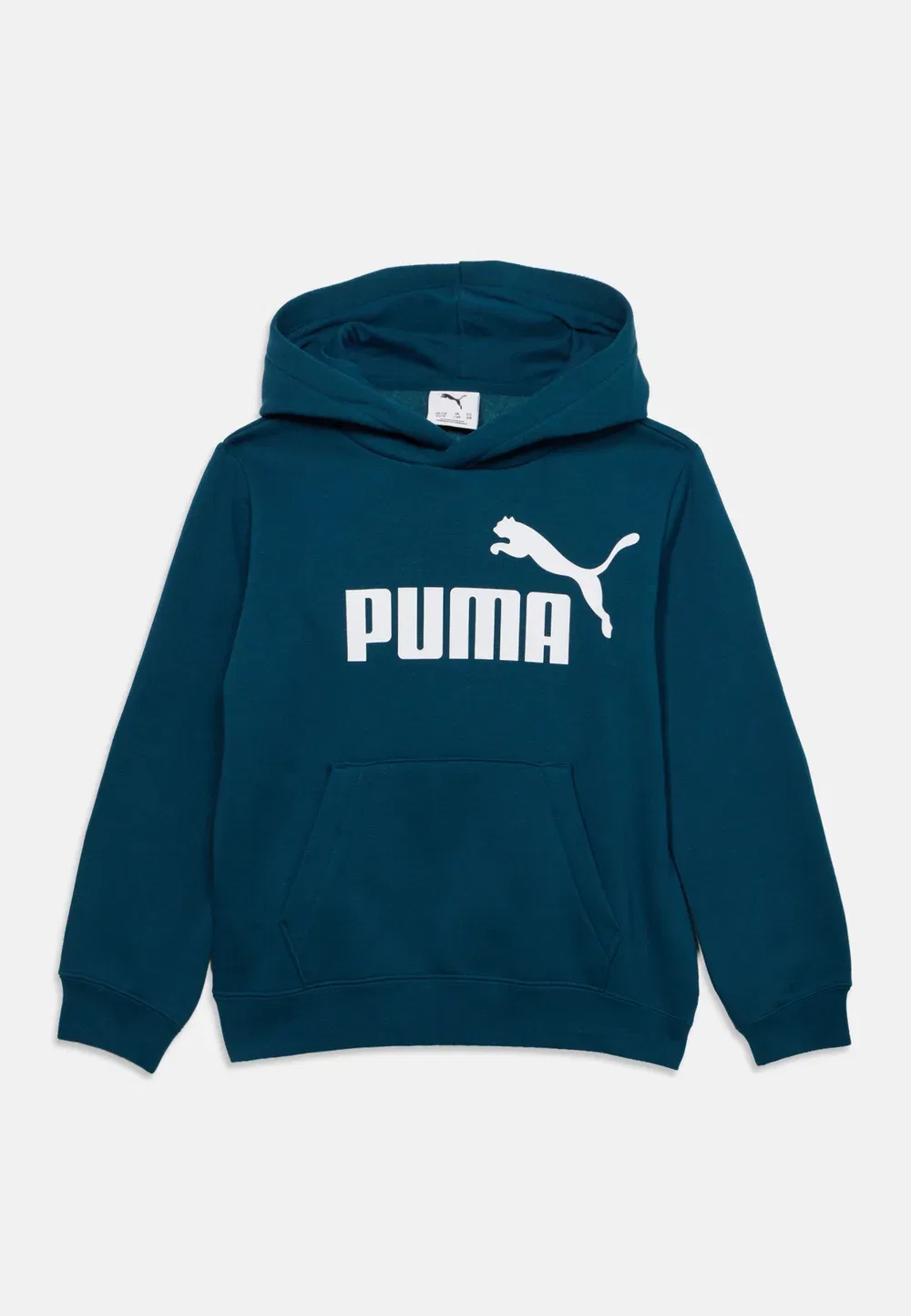 Худи унисекс с логотипом Puma, Midnight Petrol