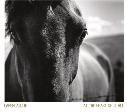 

CD диск Capercaillie: At the Heart of It All