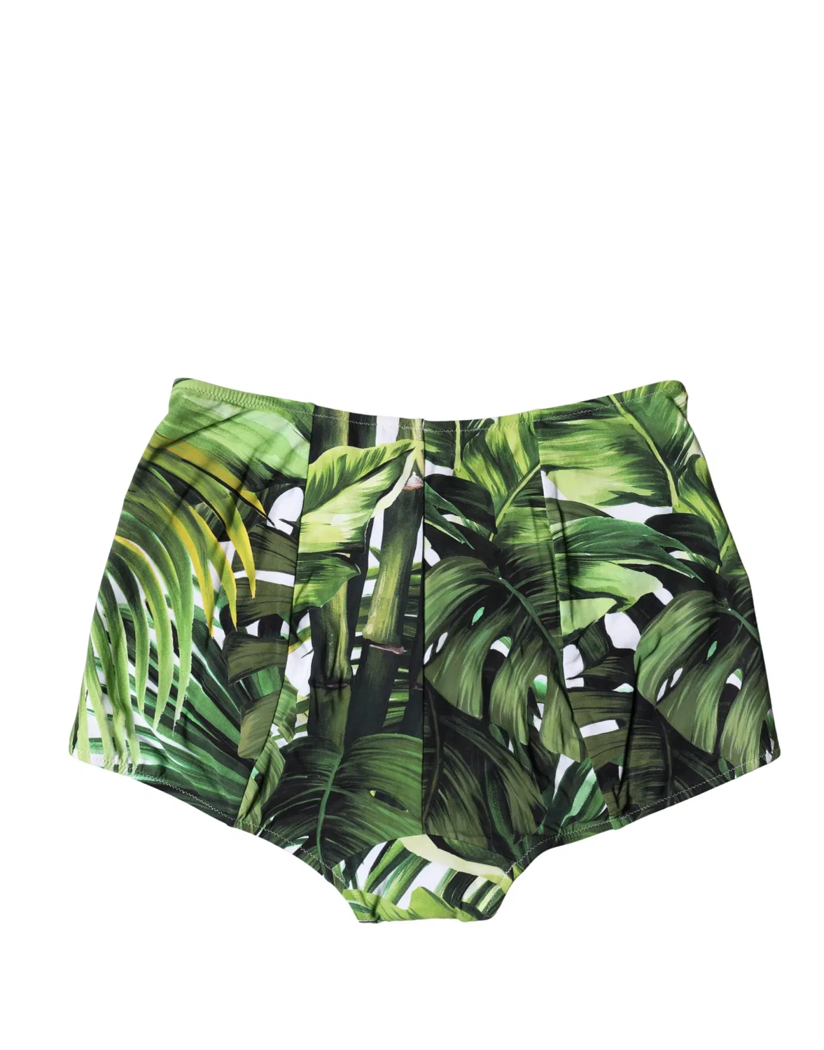 Женские плавки бикини с высокой посадкой и принтом Green Leaf Print Dolce & Gabbana, Green — фото 4