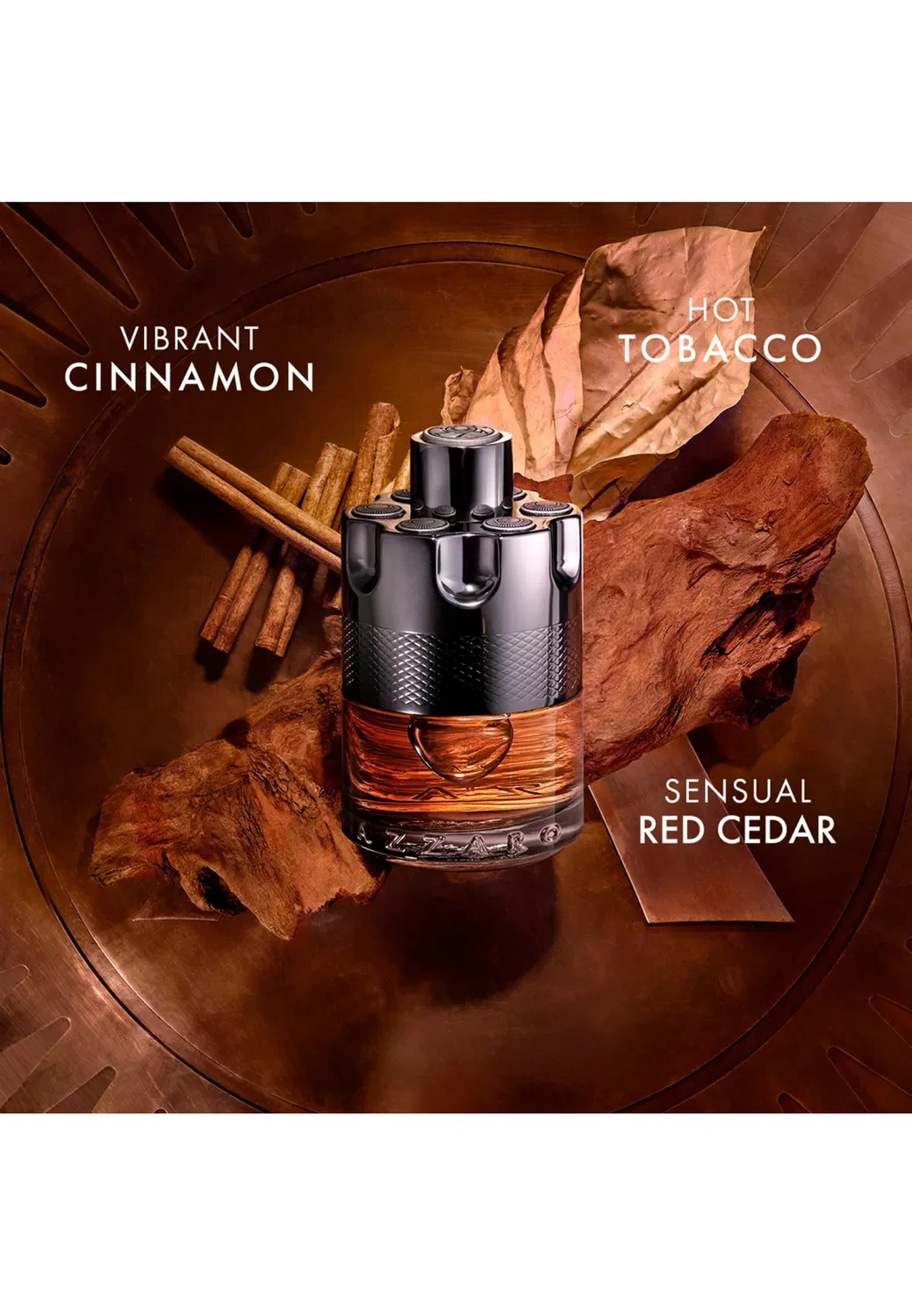 Разыскивается ночью - парфюмированная вода Azzaro Parfums, 100 мл — фото 2
