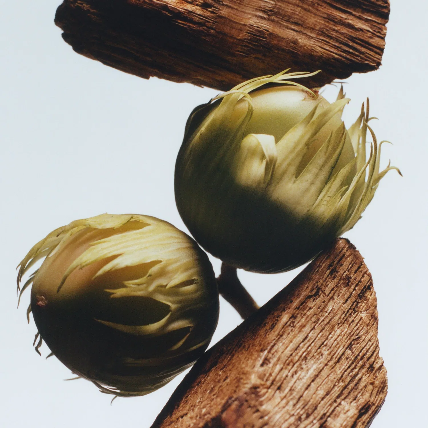 Одеколон English Oak & Hazelnut 30 мл Jo Malone London — фото 3