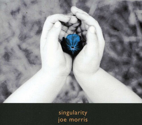 

CD диск Morris, Joe: Singularity