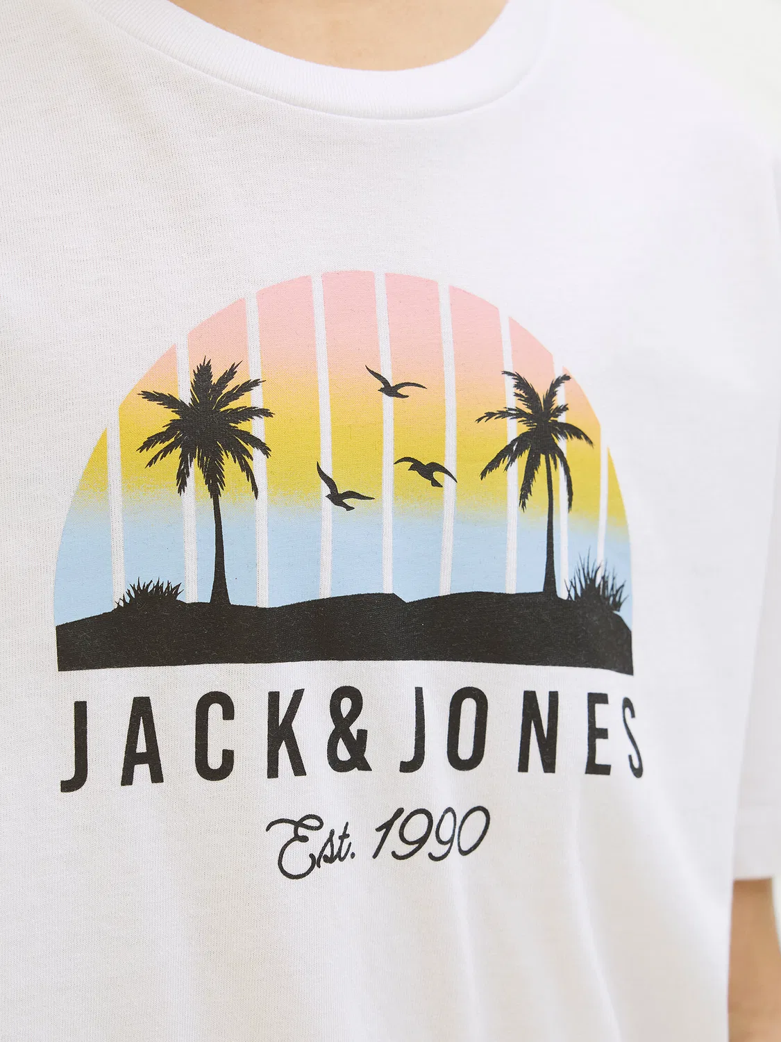 Комплект из футболок стандартного кроя для мальчика Palm Jack & Jones Junior, разноцветный — фото 4