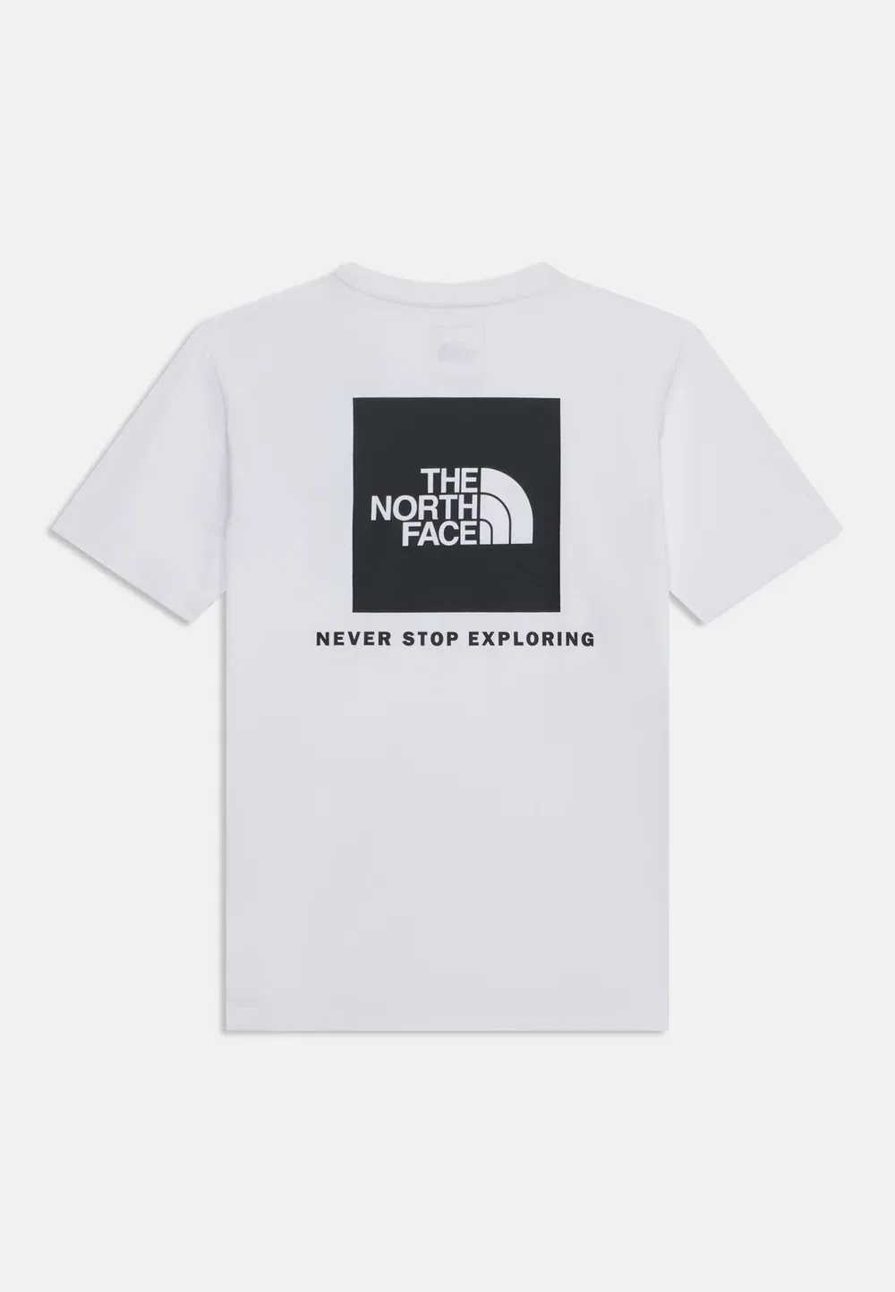 Футболка унисекс с принтом Teen Evolution Box Tee The North Face, White — фото 2