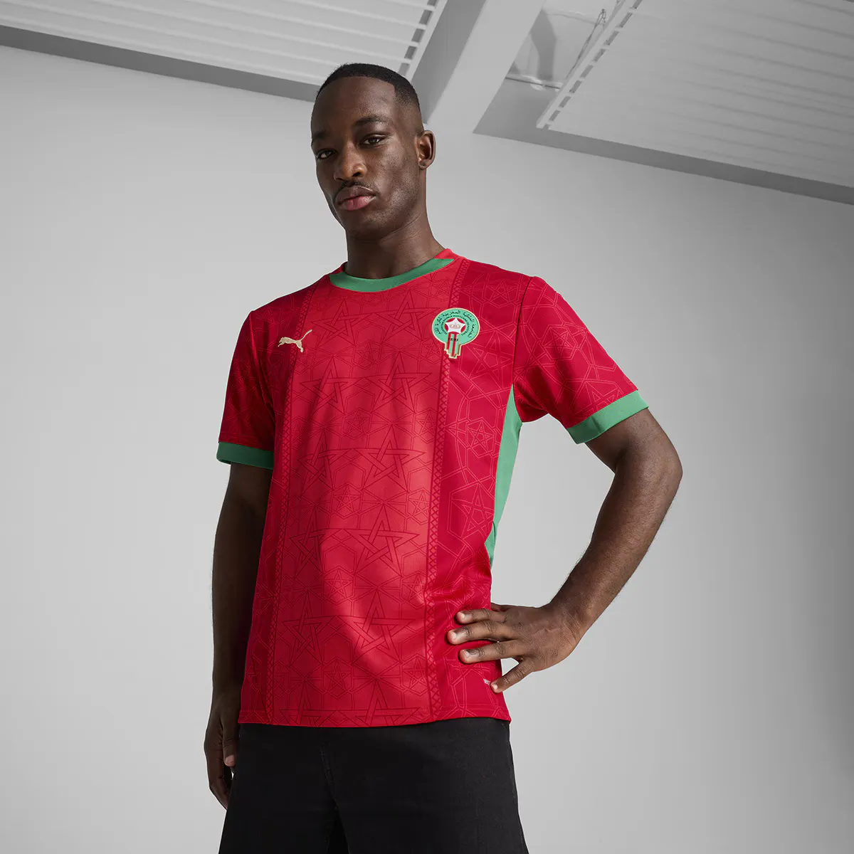 

Мужская 1-я форма Morocco FRMF 2024-2025 Puma футболка, красный