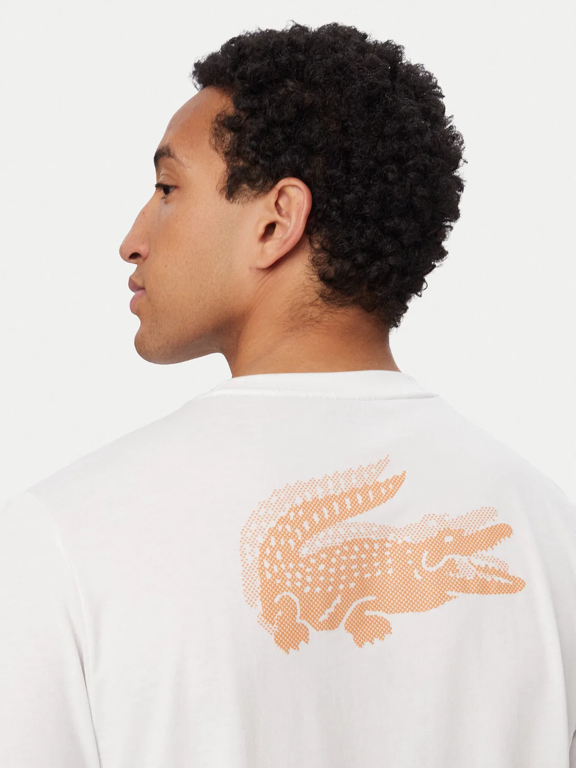 Мужская футболка стандартного кроя Lacoste, белый — фото 4