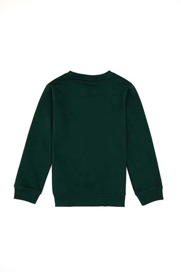 Детские свитшот для мальчиков с длинным рукавом U.S. Polo Assn., Dark Green — фото 2