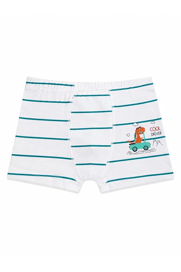 Детские боксеры для мальчиков хлопковые Özkan 31802 Özkan Underwear, Patterned — фото 4
