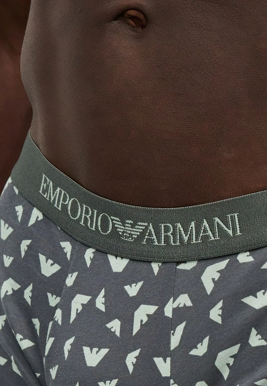 Боксерские шорты Emporio Armani мятного, светло-зеленого и черного цветов — фото 3