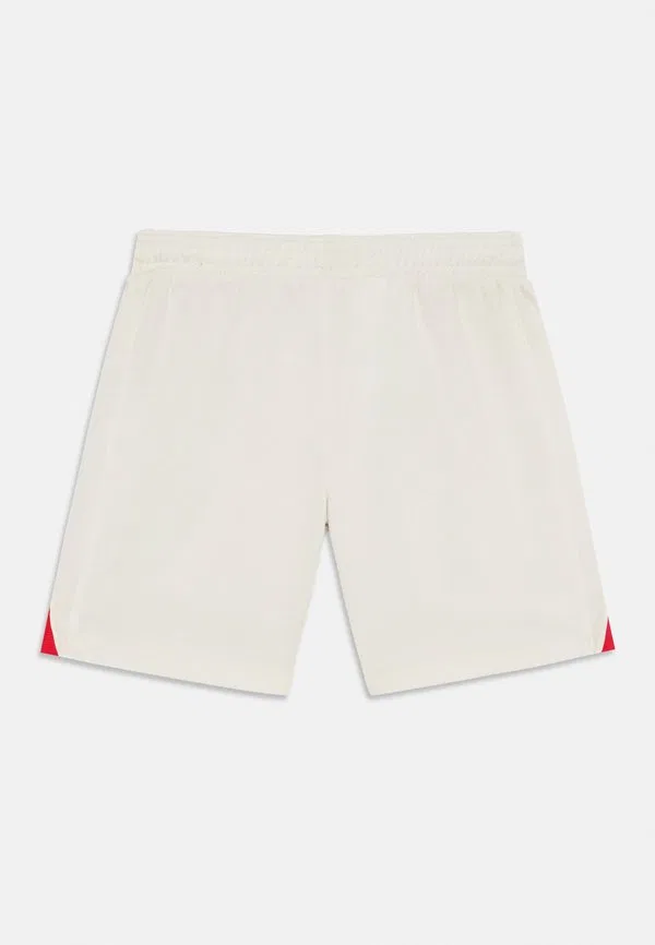 Шорты chelsea london cfc Nike Performance, Phantom/Speed Red/Galactic Jade — фото 2