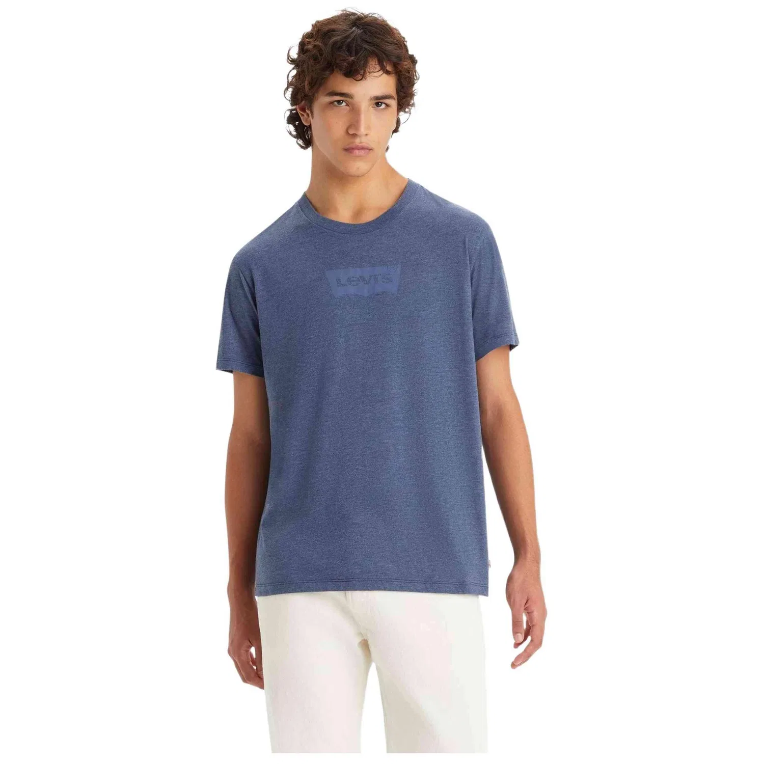 Мужская футболка с коротким рукавом Levi's 22491-1450, Blau