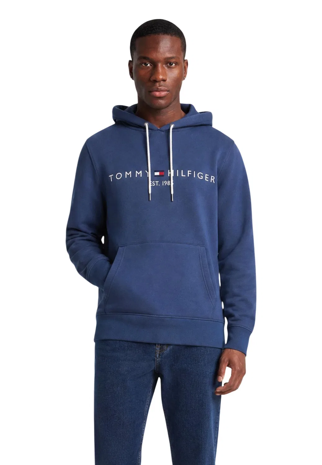 Мужской свитшот с принтом TOMMY LOGO Tommy Hilfiger, Blue