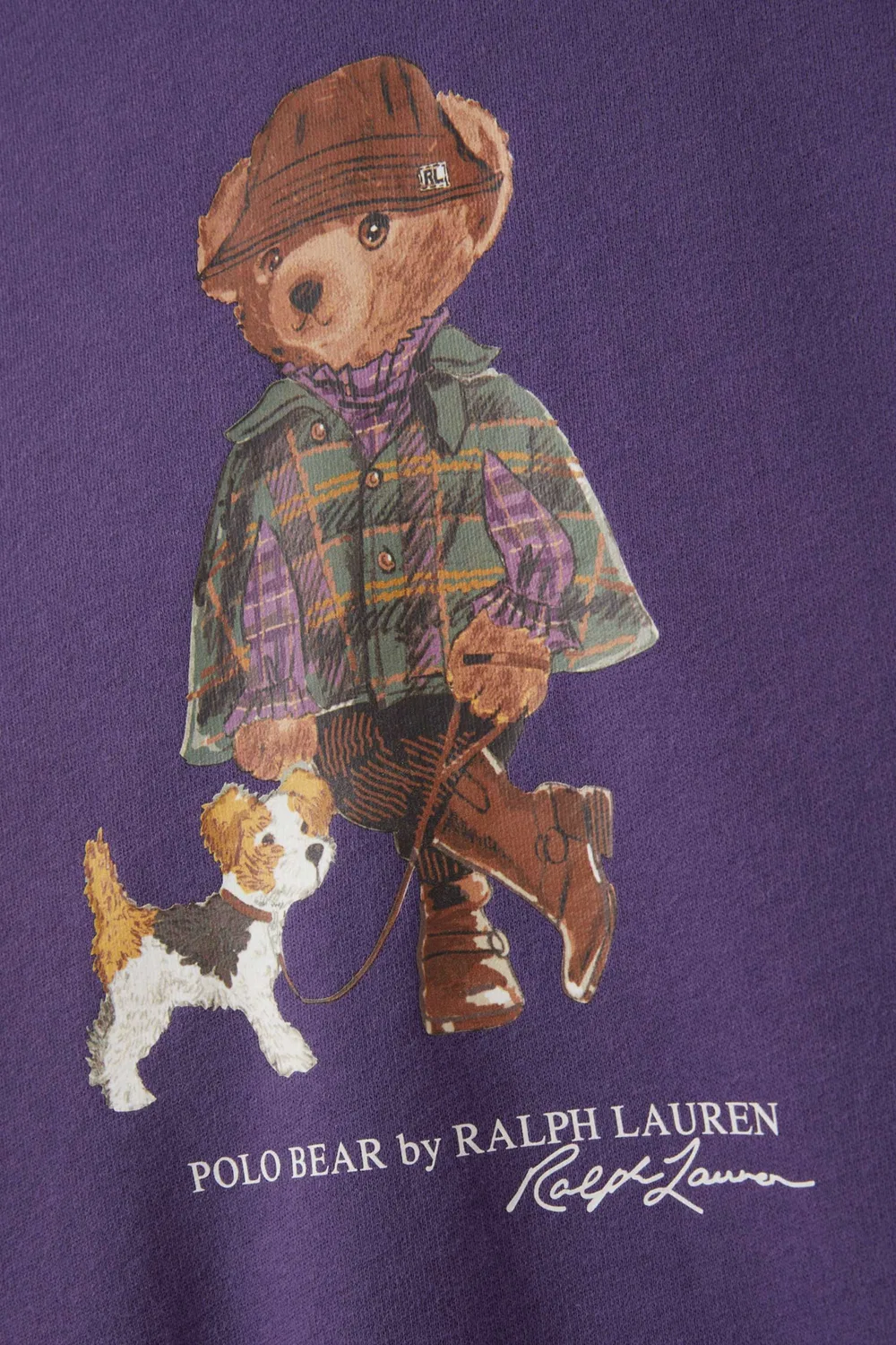 Платье с принтом Polo Bear Fleece Mock Neck Polo Ralph Lauren — фото 3