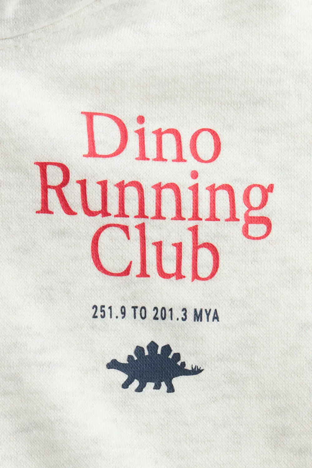 Худи с принтом H&M, Hellgrau/Dino Running — фото 3