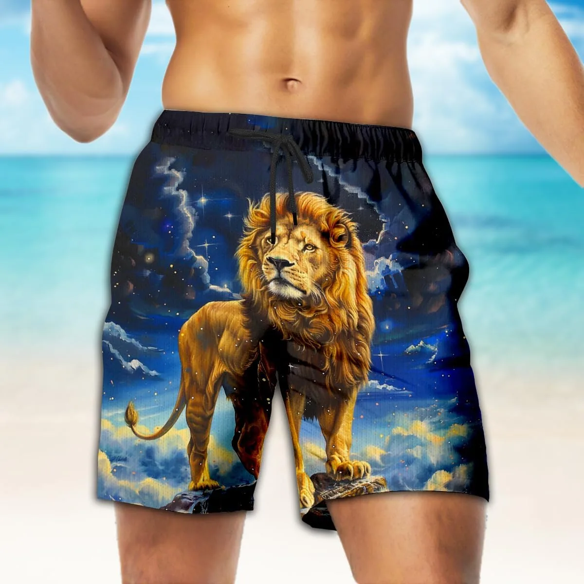 Мужские плавки Lion - комплект плавок Lion Art с сетчатой подкладкой GENERIC, Lion_27 — фото 2