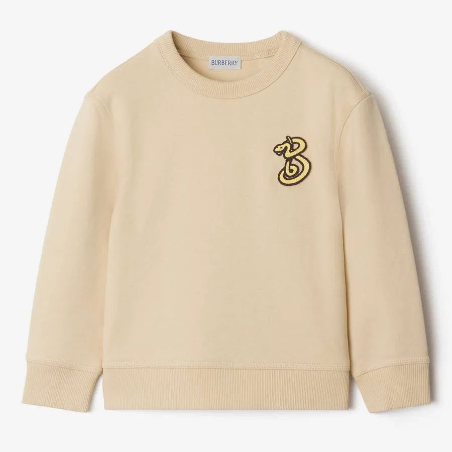 Свитшот с вышивкой змеи Kids Matthew Snake Cotton Burberry, Nutmeg