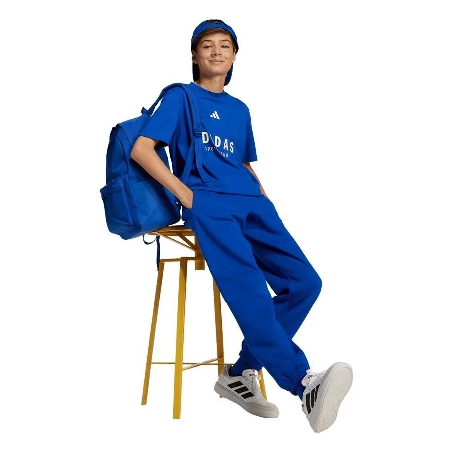 Детские спортивные штаны с принтом ALLSZN GFX PT adidas, Синий — фото 4