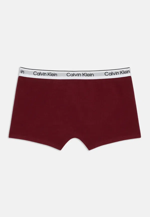 Комплект боксеров 2 шт Calvin Klein Underwear, белый/серый/малиновый/шоколадный — фото 2