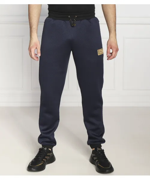 

Спортивные штаны Regular fit Ea7, синий