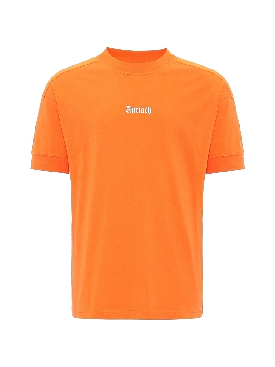 

Классическая футболка Antioch Shirt, оранжевый