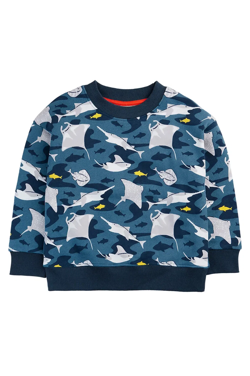 Детский свитшот Superb Frugi, Blue