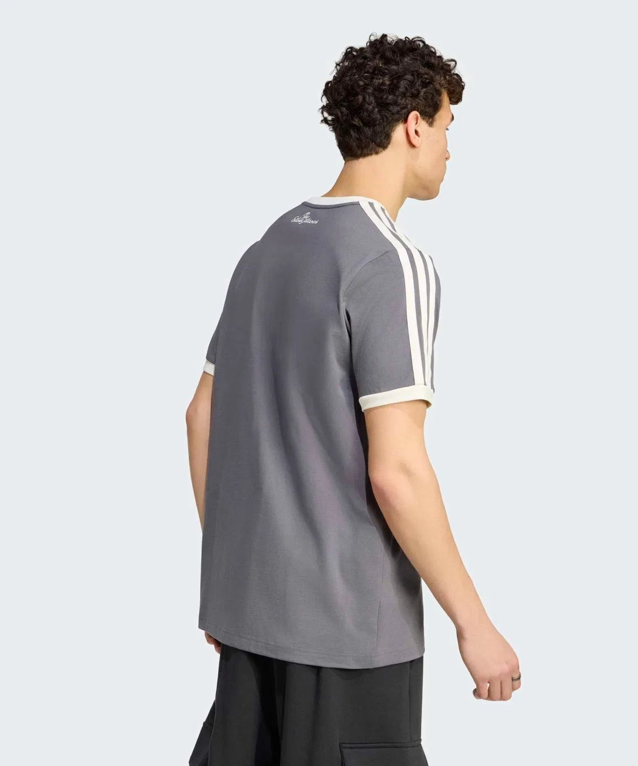 Мужская футболка с принтом Mercedes-AMG Petronas F1 Team Silver Arrows Icon Adidas, Серый — фото 2