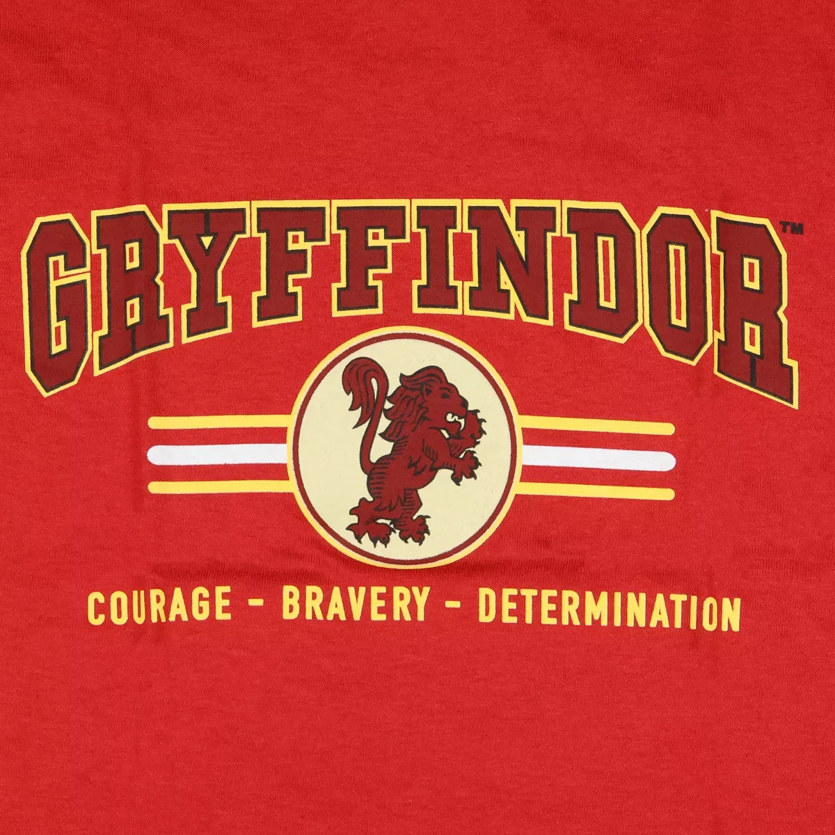 Детская футболка с принтом Gryffindor Lion Design Mad Engine, Red — фото 3