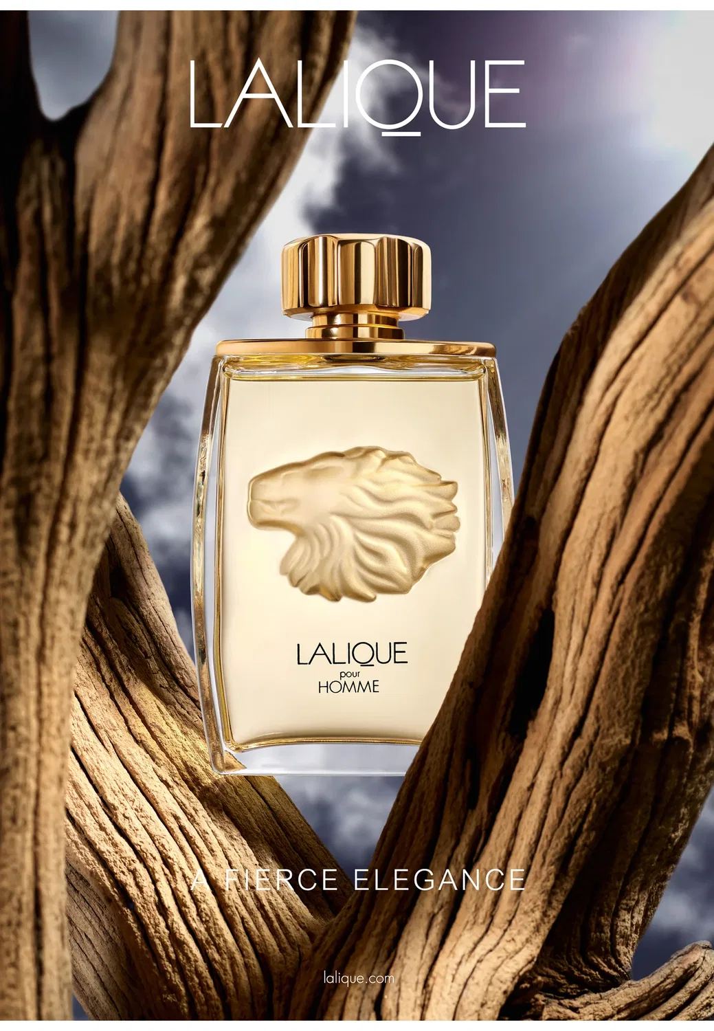 Pour homme Lion edp - парфюмированная вода Lalique, 125 мл — фото 4