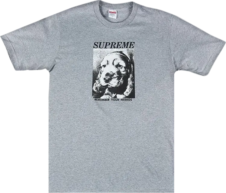 

Футболка Supreme Remember T-Shirt 'Grey', серый