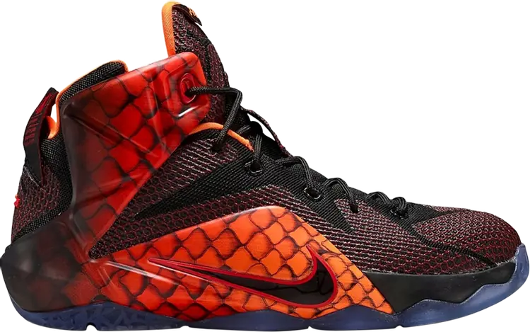 

Кроссовки Nike Lebron 12 GS, многоцветный