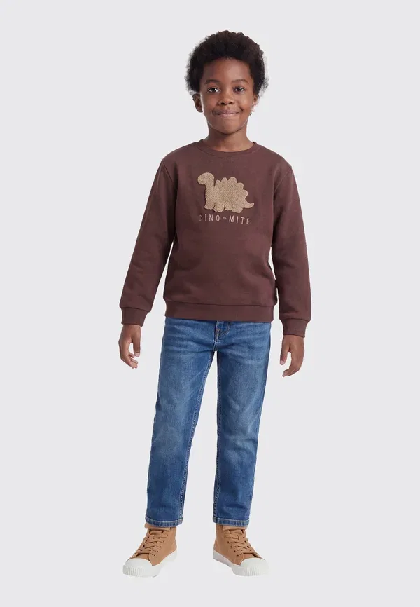 Толстовка с принтом Sweat regular fit Name It, French Roast