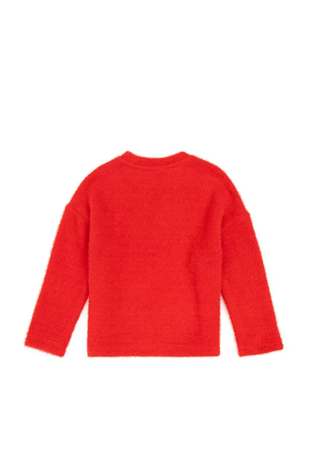 Детское для девочек свитшот с длинным рукавом U.S. Polo Assn., Red — фото 2