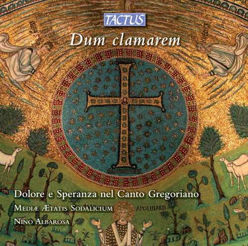 

CD диск Sorrow & Hope in Gregorian Chant / Various: Sorrow & Hope in Gregorian Chant / Various