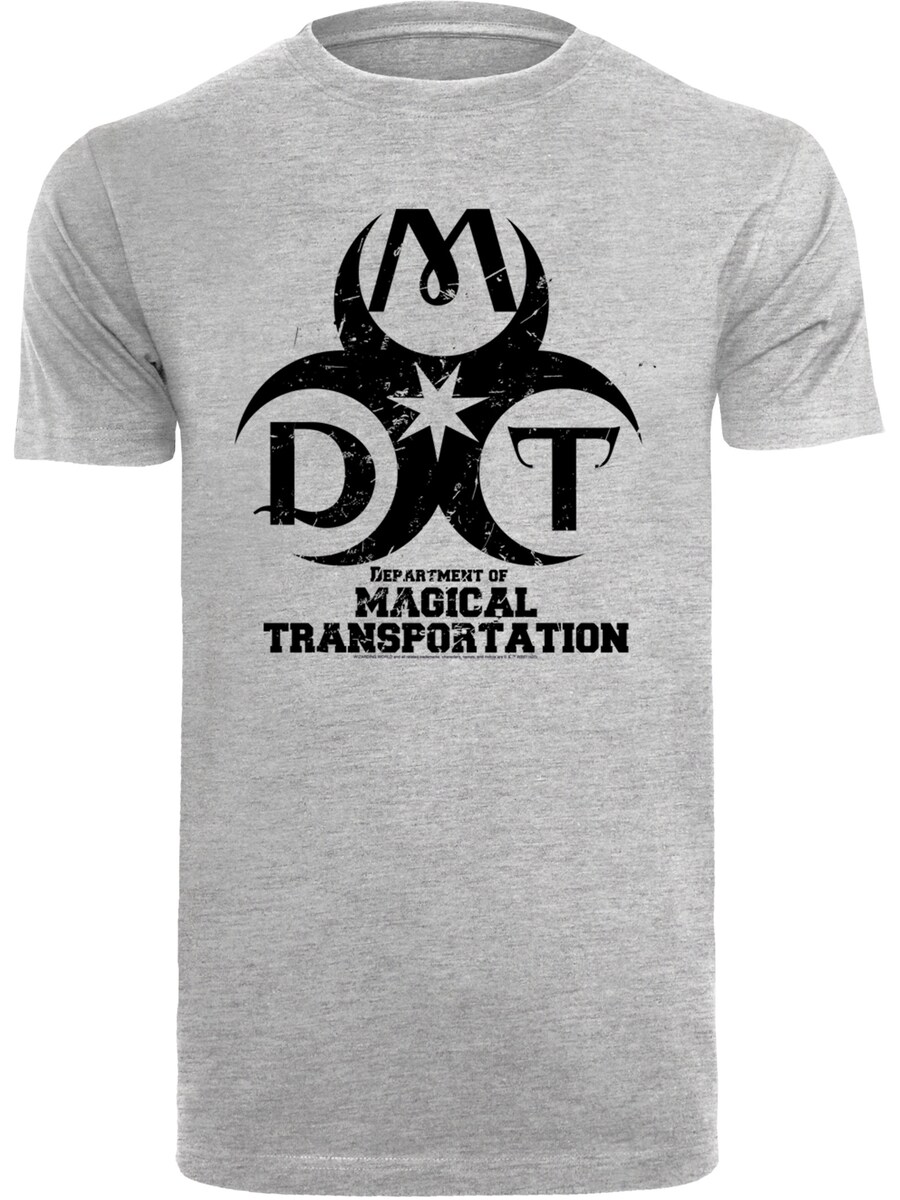 

Классическая футболка F4NT4STIC Shirt Harry Potter Department Of Magical Transportation, пятнистый серый
