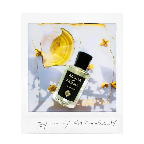 Парфюмированная вода Osmanthus Acqua Di Parma, 100 ml — фото 4