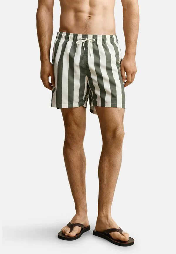 

Плавки-Шорты mit blockstreifen Gant, Dry Herb Green, Зеленый, Плавки-Шорты mit blockstreifen Gant, Dry Herb Green