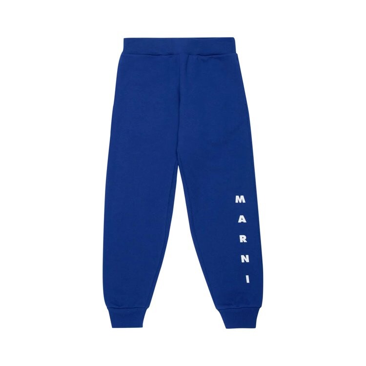 

Спортивные брюки Marni Kids Sweatpants, синий